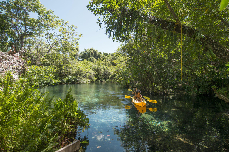 Puerto Plata: Dudu Lagoon, Monkeyland, and Playa Grande Tour