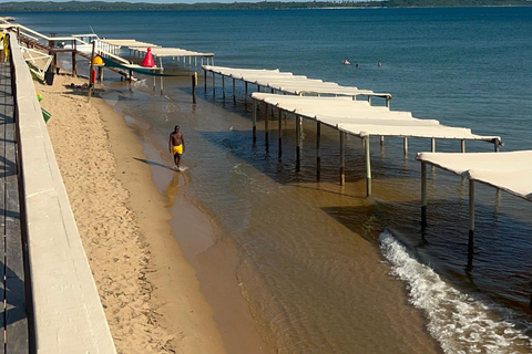 Maputo: Whale Watching, Day Trip
