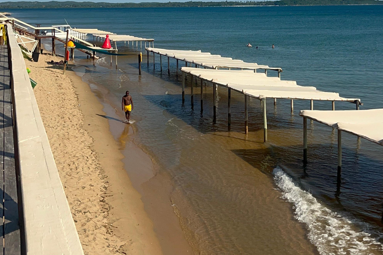 Maputo: Whale Watching, Day Trip