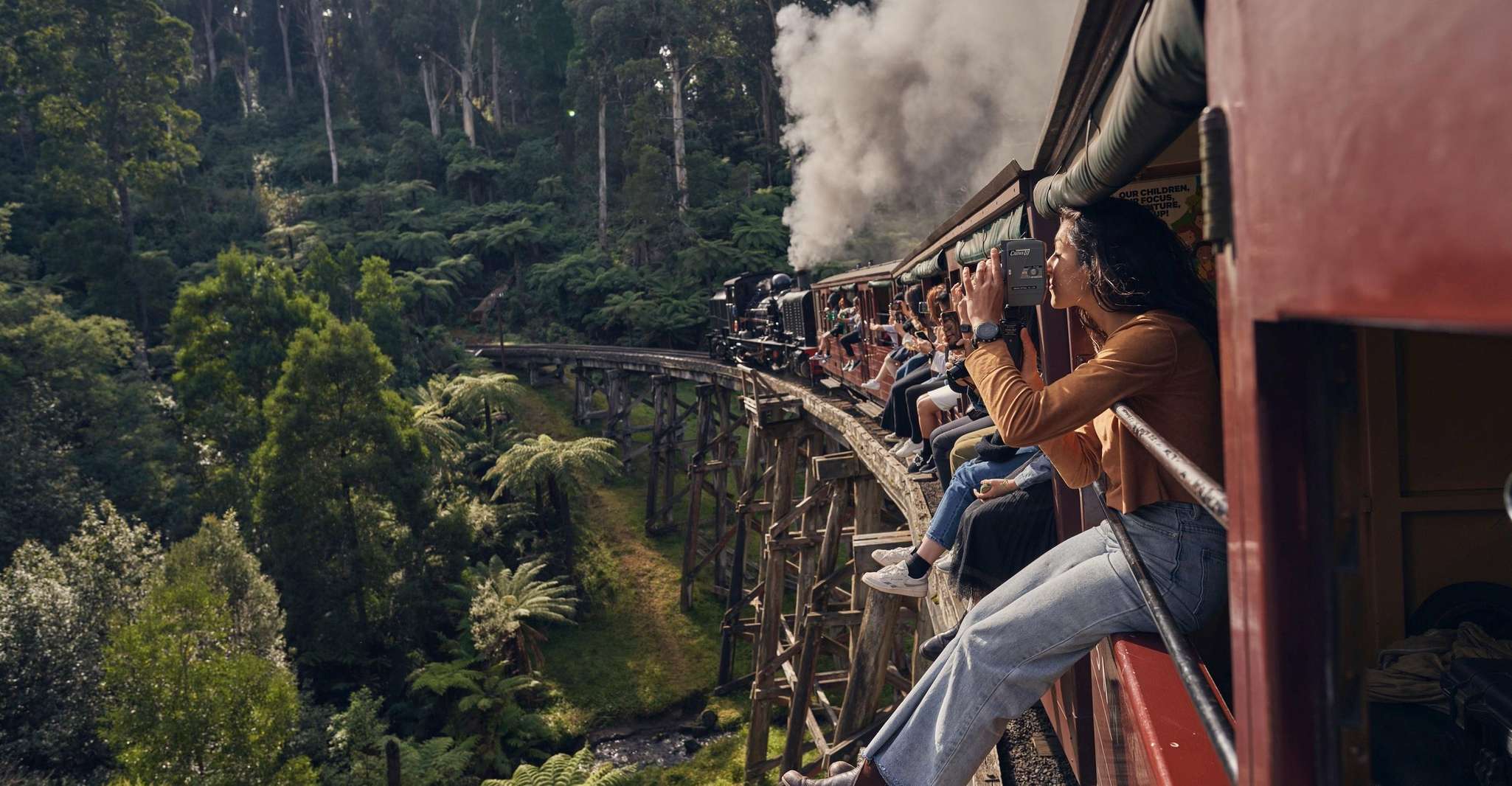 From Melbourne, Puffing Billy Train & Penguins Wildlife Tour - Housity