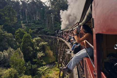 Från Melbourne: Puffing Billy-tåget &amp; Penguins Wildlife Tour