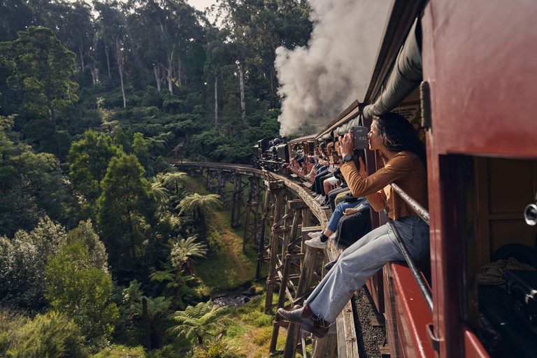 Vanuit Melbourne: Puffing Billy Train & Pinguïns Wildlife Tour