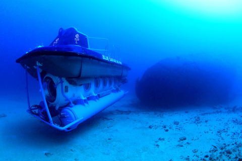 Triolet : plongée sous-marine avec transferts depuis l&#039;hôtelTriolet : Plongée sous-marine avec transferts depuis l&#039;hôtel