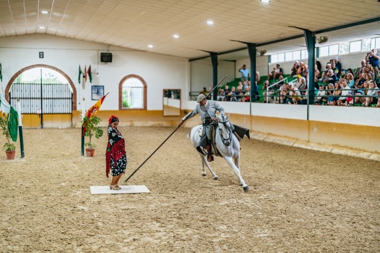 Andalusian Horse and Flamenco Show
