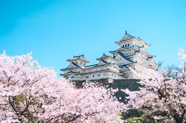 Himeji Private Custom Tour with Local Guide