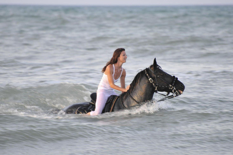 Soma Bay: Reittour mit HoteltransferSoma Bay: Reittour ohne Hoteltransfer