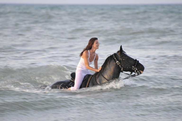 Soma Bay: Reittour mit HoteltransferSoma Bay: Reittour ohne Hoteltransfer