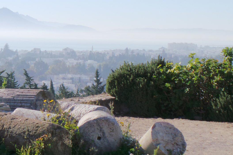 Explora a Medina Bardo Cartago e Sidi Boussaid