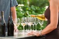 Santa Bárbara, Tour por el Vino con Almuerzo - Hizvo
