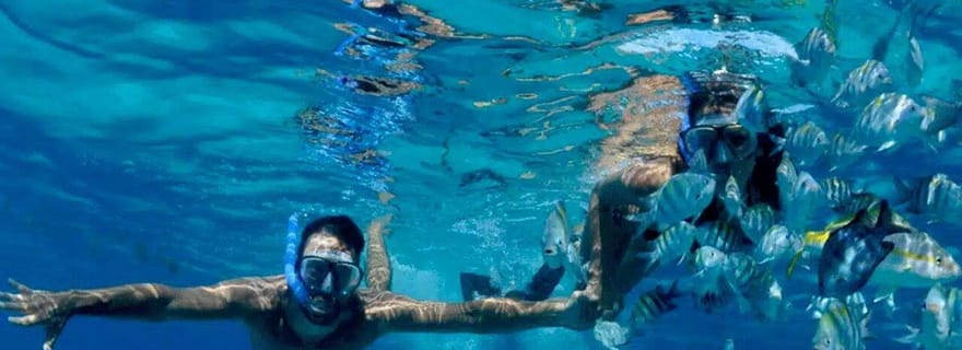 Puerto Morelos : Plongée en apnée au National Reef Park