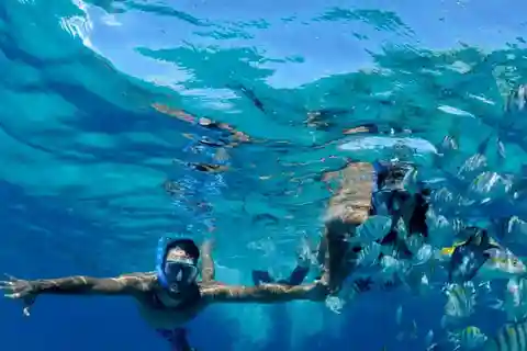 Puerto Morelos: Snorkeling at The National Reef Park