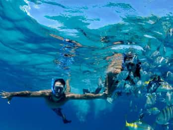 Puerto Morelos: Snorkeling at The National Reef Park