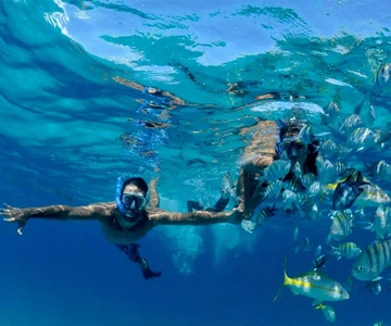 Puerto Morelos: Snorkelen in het Nationaal Rif Park