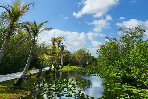 Everglades: passeio de barco com transporte e entrada incluídos