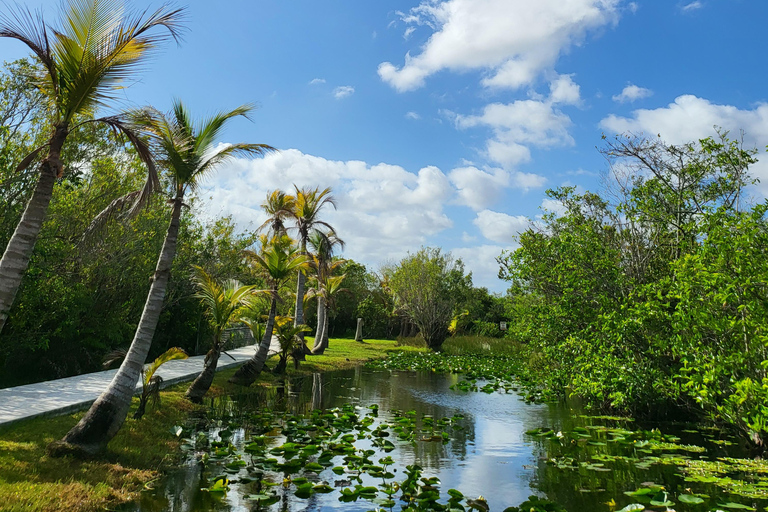 Everglades: boat tour with transportation&amp; entrance included