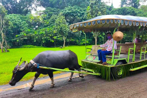 Manila: Villa Escudero: Tour de un día con almuerzo y traslados PRIVADO