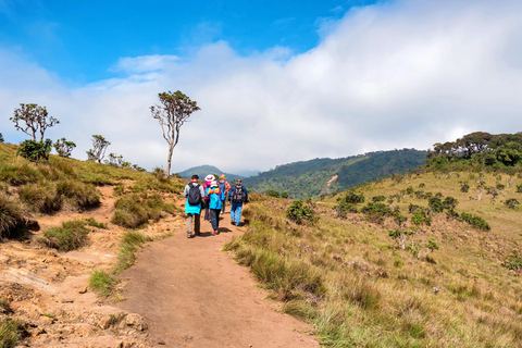 Visita las llanuras de Horton y Nuwara Eliya desde Ella