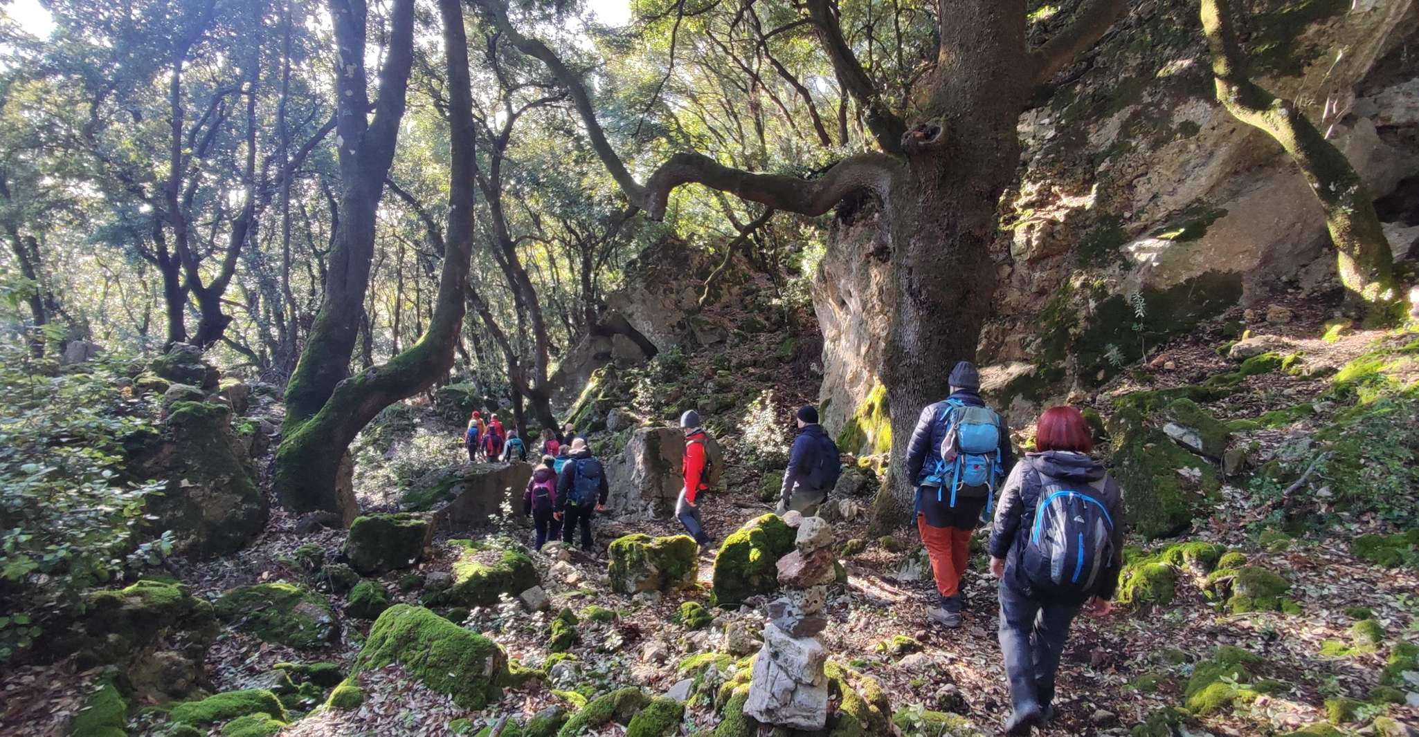 Bruncu Casteddu, hiking guided tour close Ulassai Village - Housity