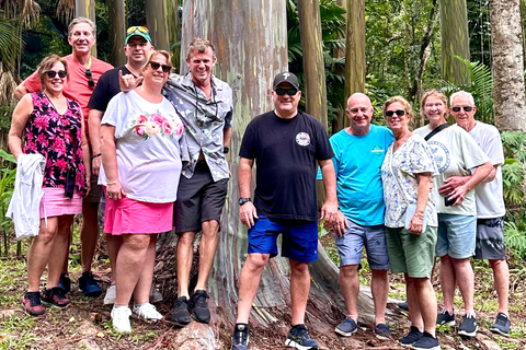 Maui: Rainforest Adventure to Hana with Photos