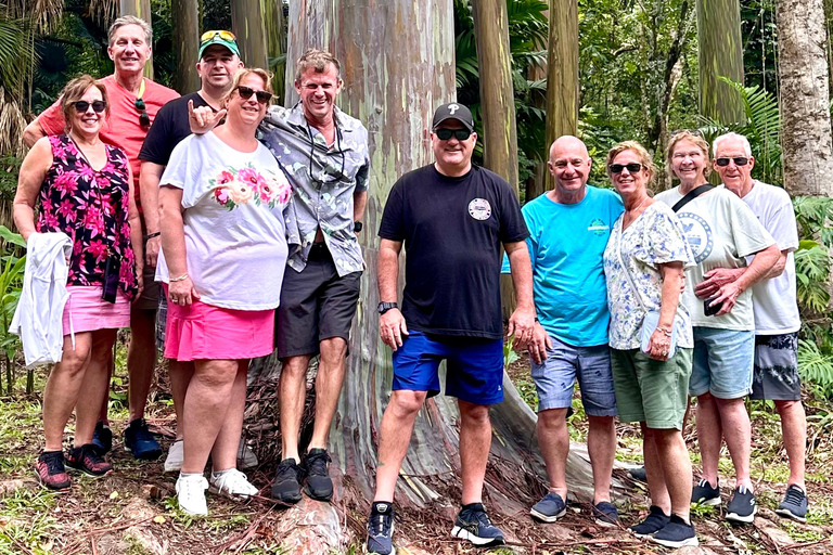 Maui: Rainforest Adventure to Hana with Photos