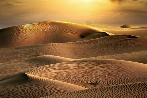 From Agadir/Taghazout: Sahara Sand Dunes with Transfer