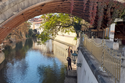 Discover Prague Private Tour - 3 hours Discover Prague Private Tour - Driving
