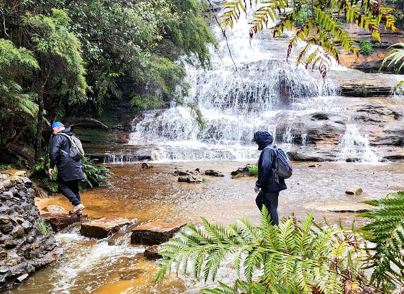 Fra Sydney: Blue Mountains-tur med vandfaldsvandring og frokost