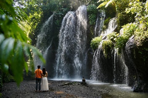 Ubud: Secret Waterfalls, Swing & Rice Terrace Private Tour