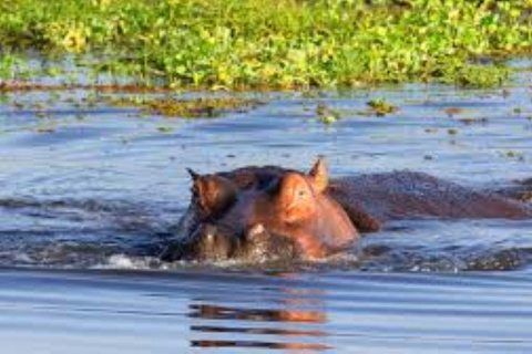 Nairobi: Hell’s Gate National Park Day Trip With boat Ride