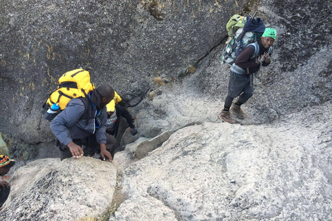 4日恩帕凯、奥多尼奥伦盖山与纳特龙湖之旅4天恩帕凯火山、奥尔多尼奥·伦盖火山与纳特龙湖之旅