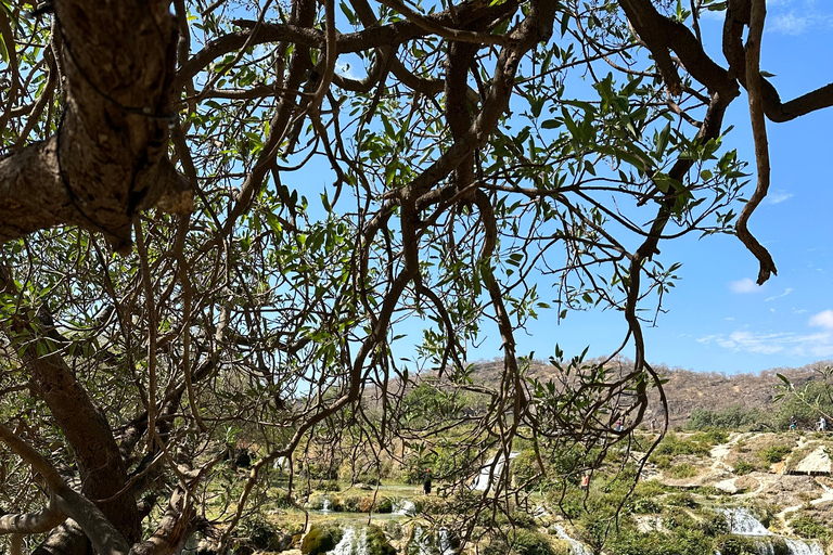 山地野生动物园山地探险
