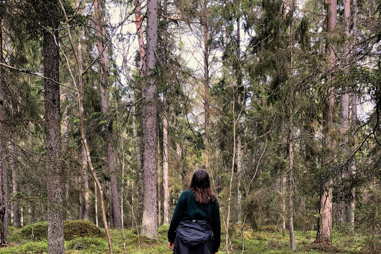 Bagno nella foresta nella natura di Stoccolma con guida certificataBagno nella foresta con cerimonia del tè nella riserva naturale di muschio