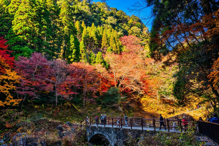 Mt. Aso & Takachiho Gorge Tour with Optional Boat Ride 7:50 AM One-day tour (including Takachiho cruise)