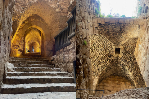 From Amman: Jerash and Ajloun Castle Private Full-Day Trip