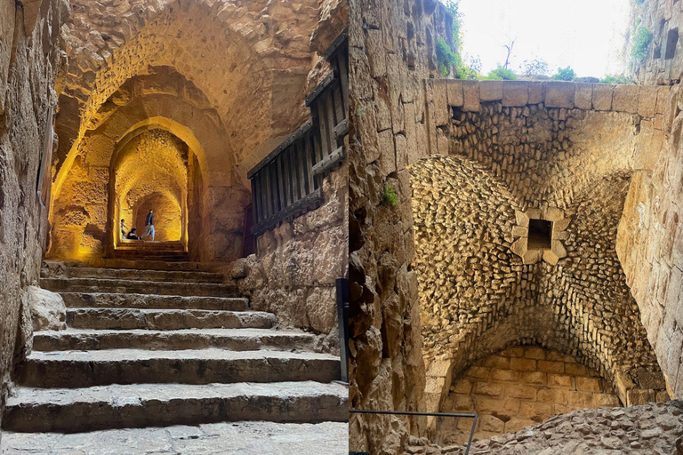 From Amman: Jerash and Ajloun Castle Private Full-Day Trip