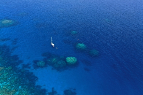 Cairns : Excursion de 2 jours en bateau pour la plongée et le snorkeling sur la Grande Barrière de Corail1 passager dans une cabine partagée