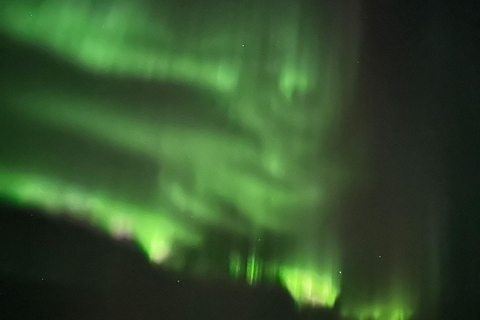 Rovaniemi: Northern Lights Hunters. Aurora + BBQ