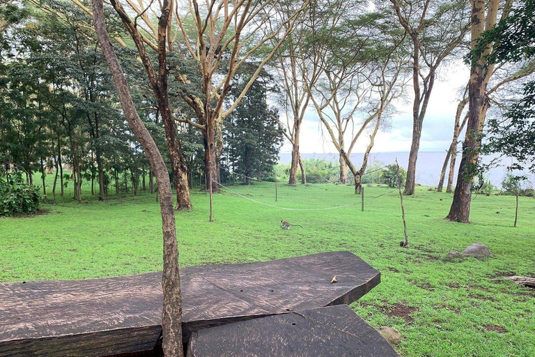 Kisumu: Lake Victoria Fishing Community Tour
