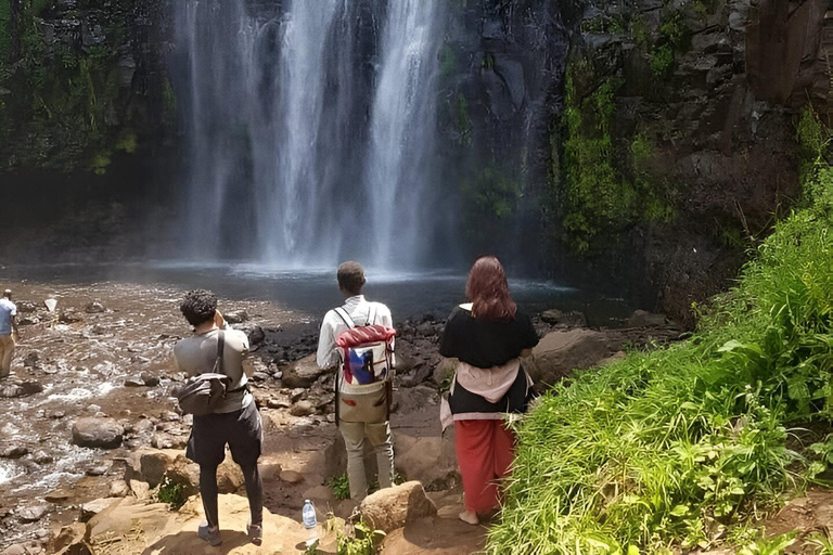 Materuni Waterfalls and Village Coffee Tour with Transfers