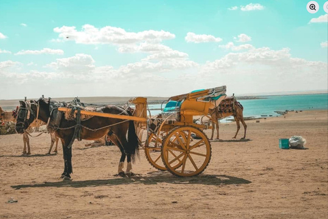 From Cairo: 4x4 Desert Safari, Waterfalls & Magic Lake Shared Tour: Wadi El Rayan, Magic Lake & Lake Qarun, Jeep