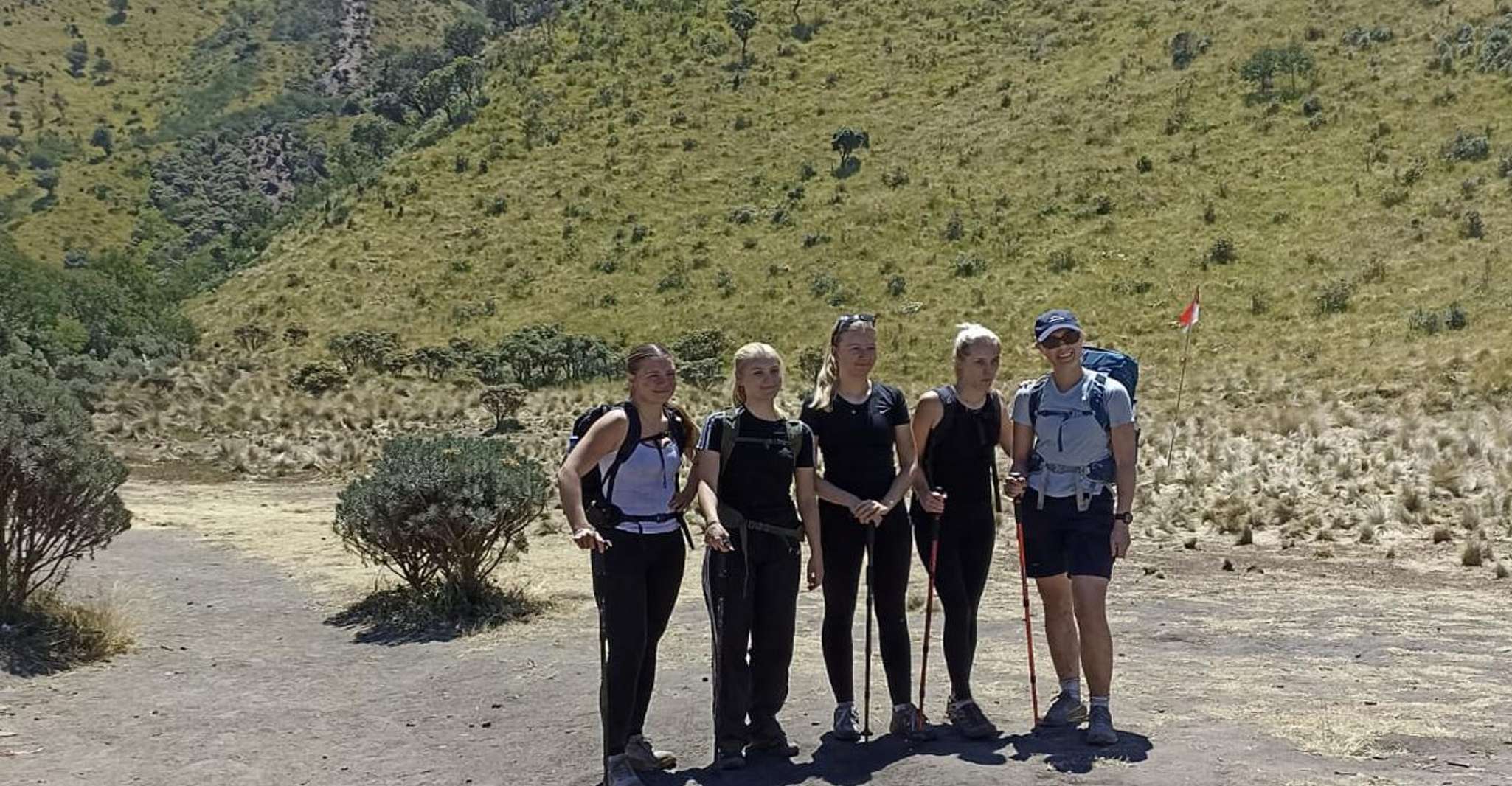 Mount Merbabu Day Hiking Tour - Housity