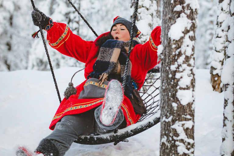 Levi：Arcandia，精灵法庭/日光和公园/黑暗精灵法庭：3 小时体验和公园之旅