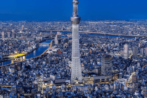 Tokyo Full Day Customizable Private Tour with English Guide