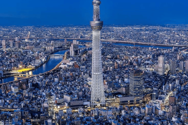 Tokyo Full Day Customizable Private Tour with English Guide