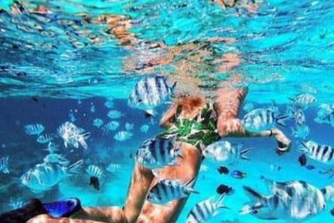 Zanzibar : excursion de plongée avec tuba et voile au récif de Kiwengwa