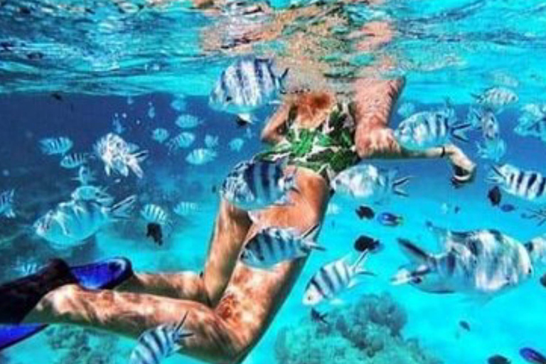 Zanzibar : excursion de plongée avec tuba et voile au récif de Kiwengwa