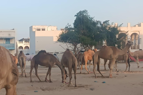 Tour pelos destaques de Doha com guia de turismo que fala alemãoTour pelos pontos turísticos de Doha com guia de turismo que fala alemão
