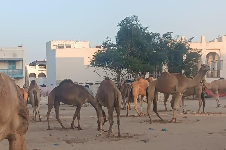 Tour pelos destaques de Doha com guia de turismo que fala alemãoTour pelos pontos turísticos de Doha com guia de turismo que fala alemão