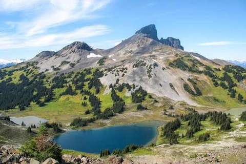 Panorama Ridge Tour & Transport - Sea To Peak Tours