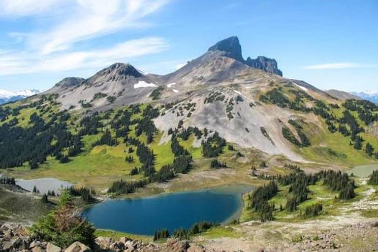 Panorama Ridge Tour & Transport - Sea To Peak Tours